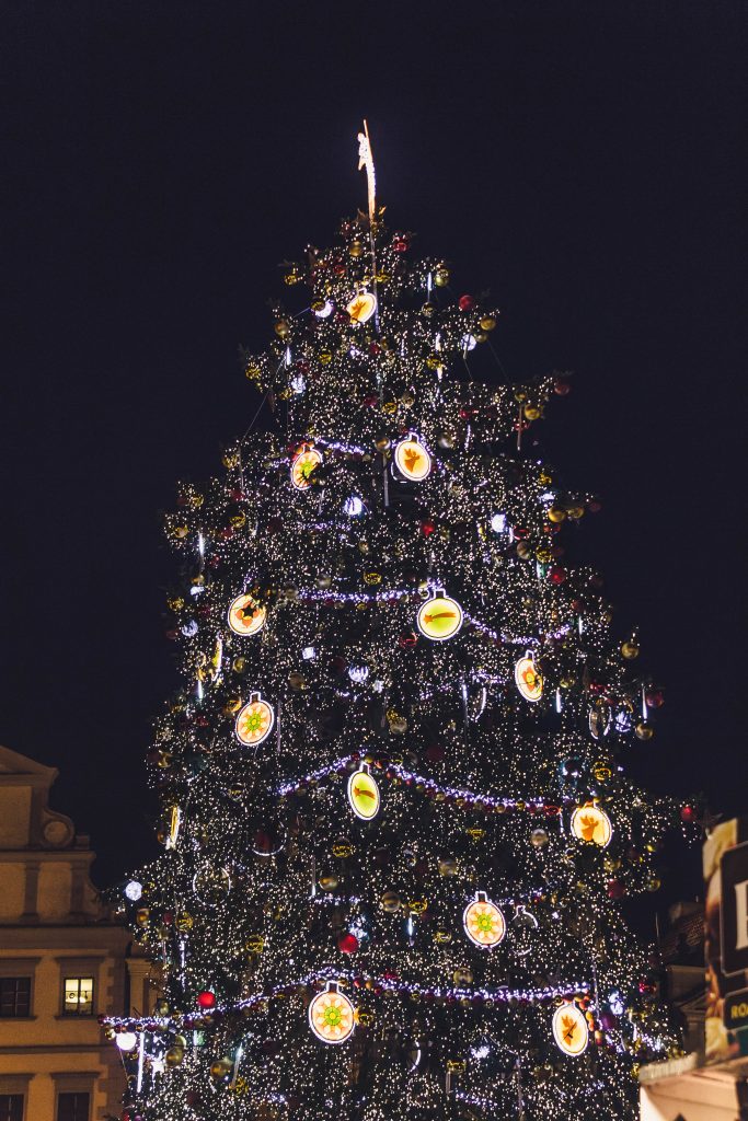 Рождественская ель в Праге