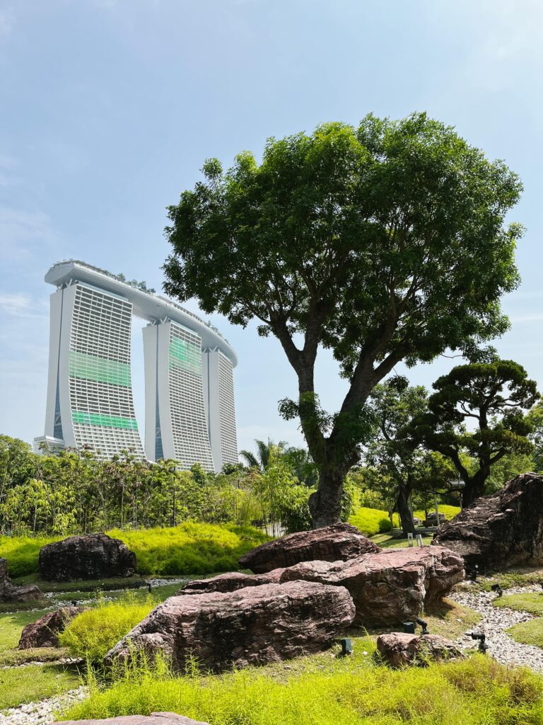 Gardens by the Bay в Сингапуре