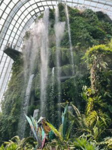 Водопад внутри Cloud Forest в Сингапуре