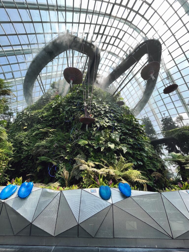 Внутри Cloud Forest в Сингапуре