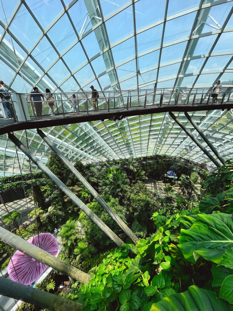 Купол Cloud Forest в Gardens by the Bay