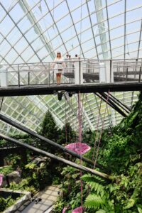Внутри Cloud Forest в Сингапуре