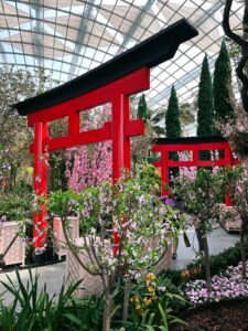 Оранжерея Flower Dome в Сингапуре