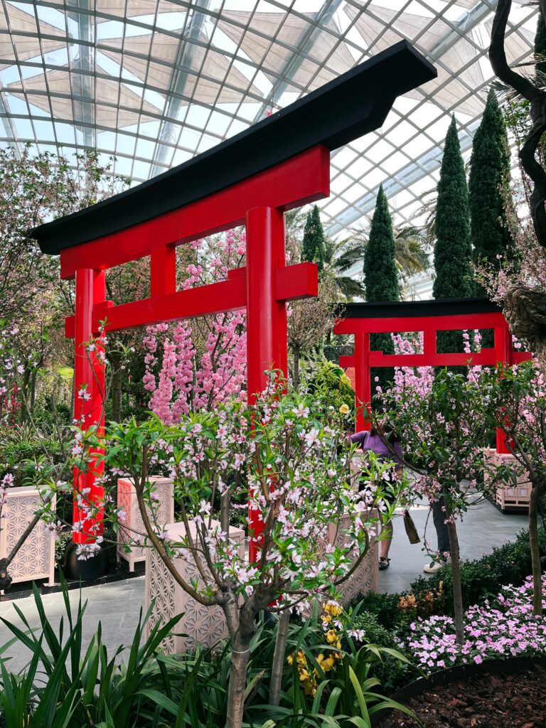 Цветочная оранжерея Flower Dome