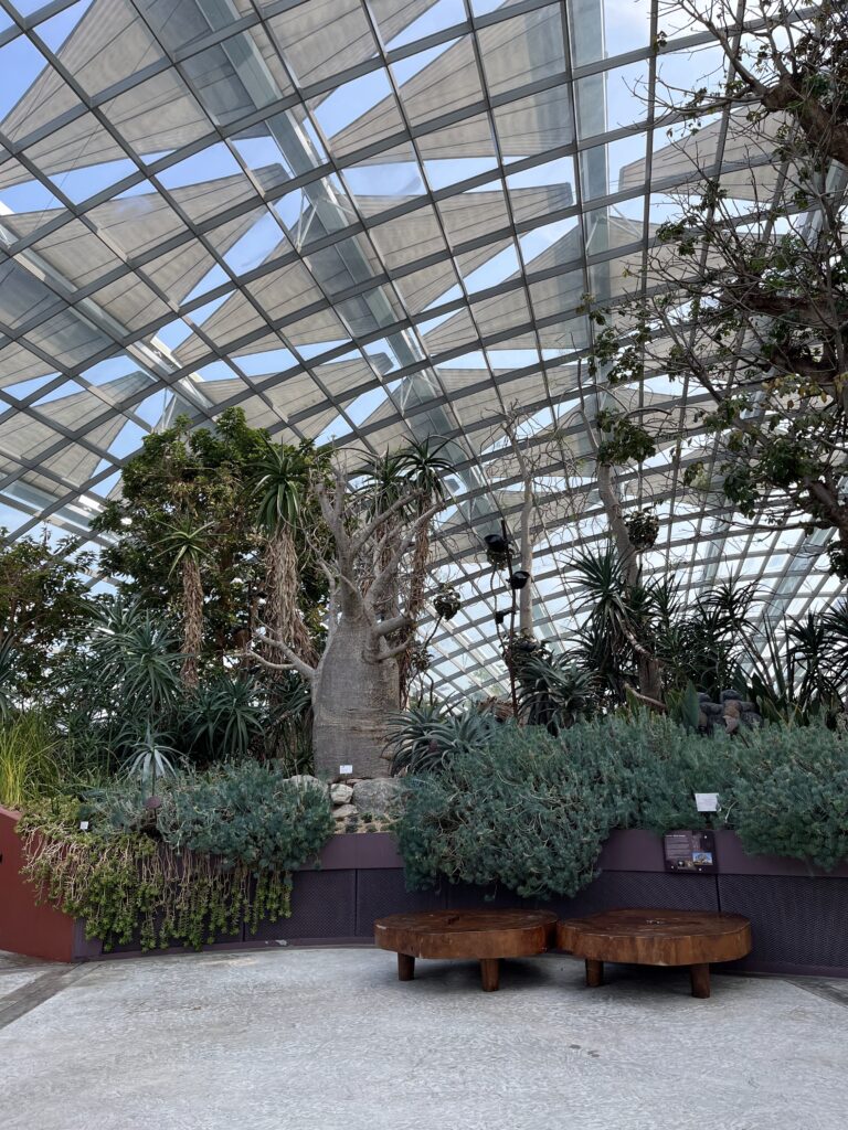 Оранжерея Flower Dome в Сингапуре