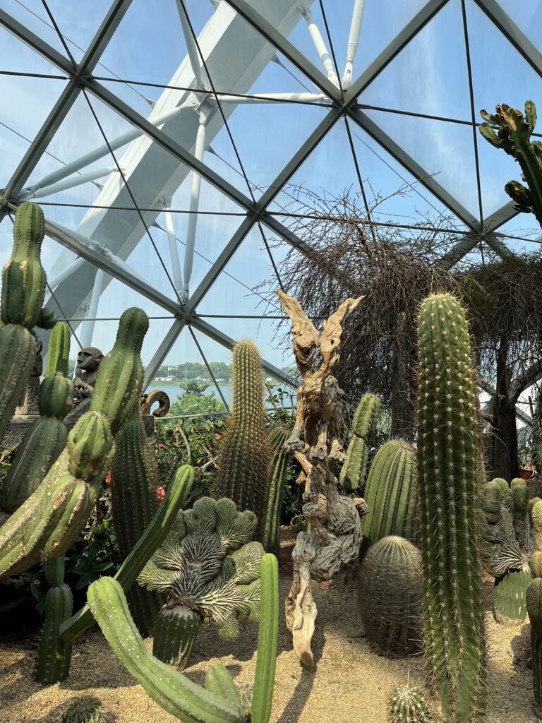 Растения со всего мира в Flower Dome