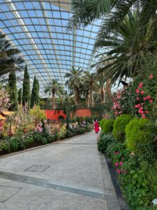 Растения со всего мира в Flower Dome