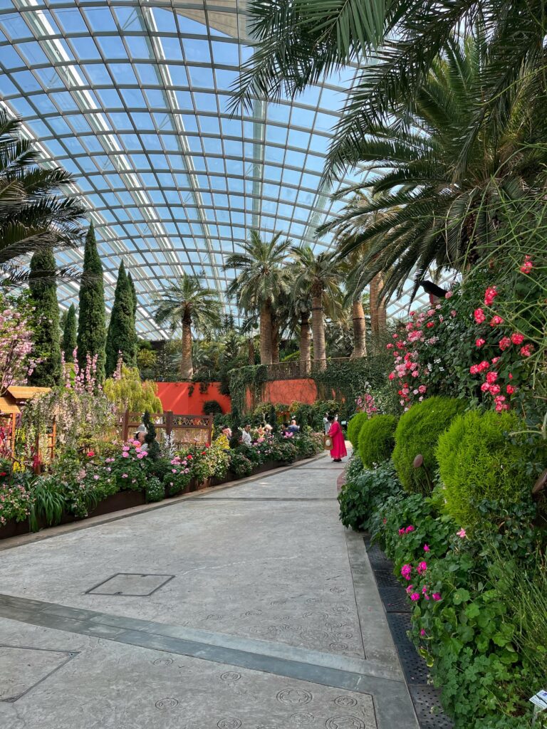 Растения со всего мира в Flower Dome