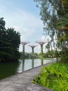 Supertree Grove в Сингапуре