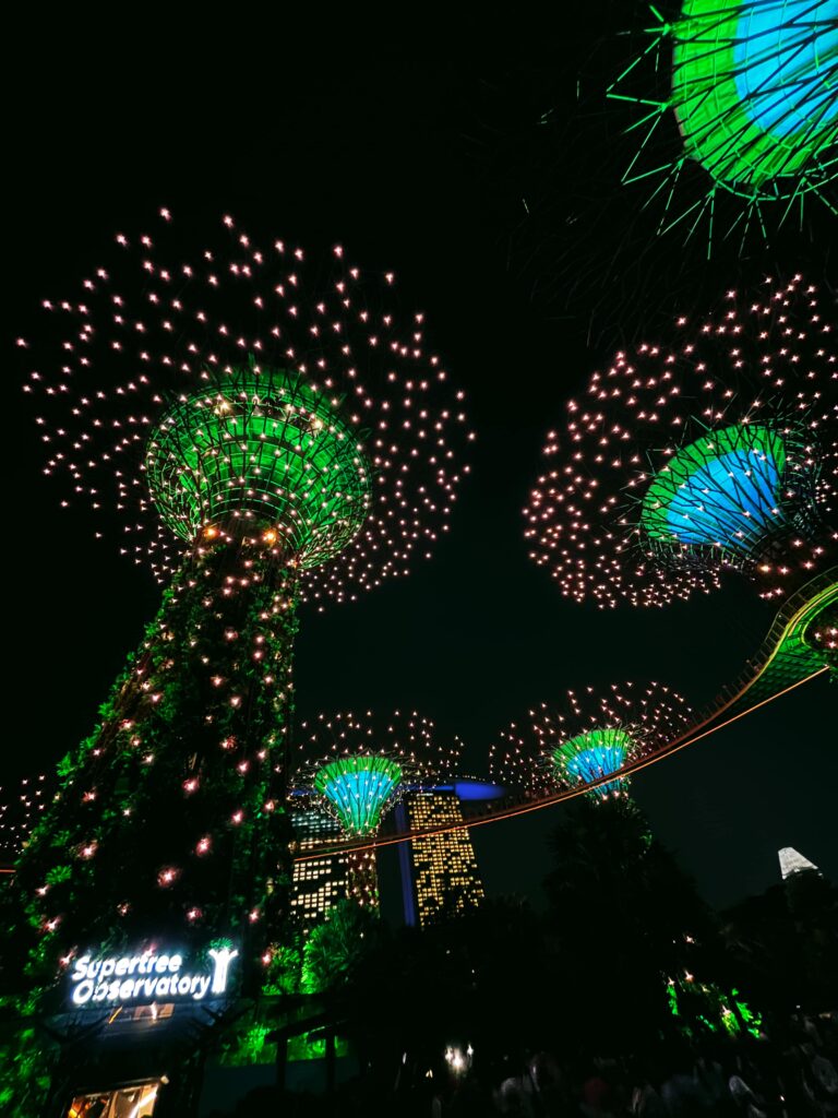 Сингапур за 3 дня — Supertree Grove