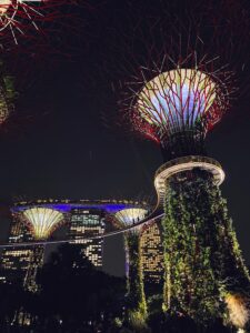 супердеревья в Gardens by the Bay