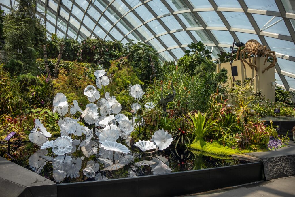 Внутри Cloud Forest в Сингапуре