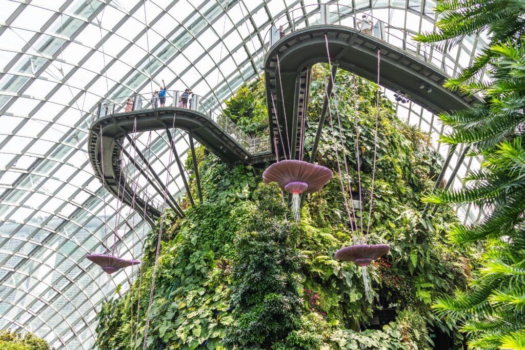 Cloud Forest — достопримечательность Сингапура