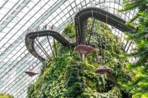 Внутри Cloud Forest в Сингапуре