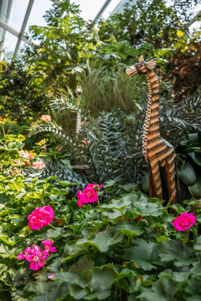 Flower Dome в Gardens by the Bay