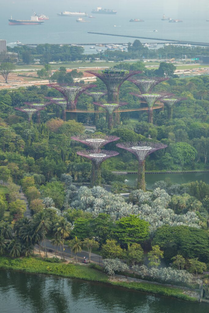 Футуристический парк Gardens by the Bay