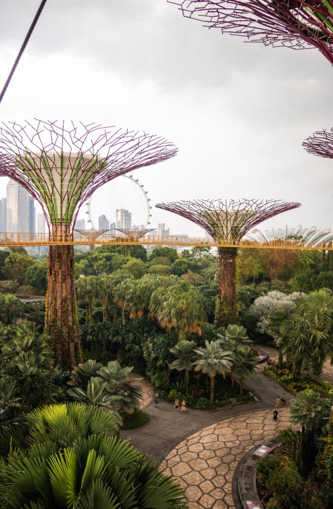 Supertree Grove в Сингапуре