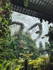 Тропический лес в Cloud Forest