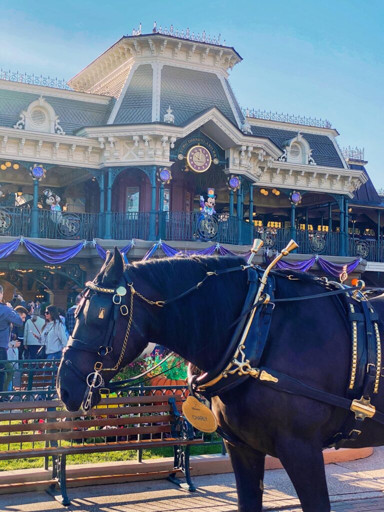 Аттракционы Disneyland Paris