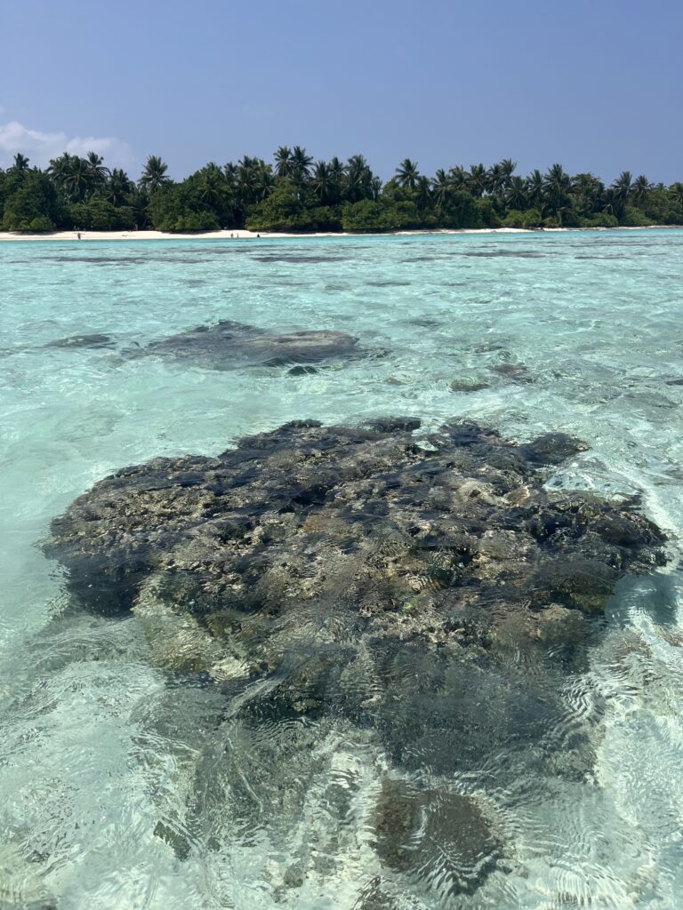 Бирюзовая вода и пляж на Мальдивах