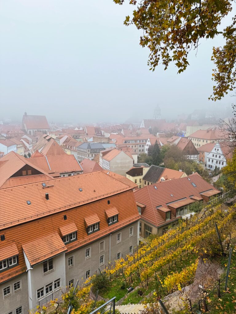 Панорама Мейсена